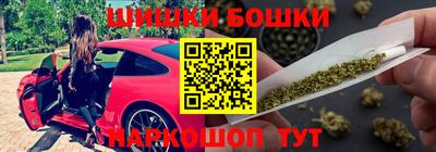 стафф Будённовск