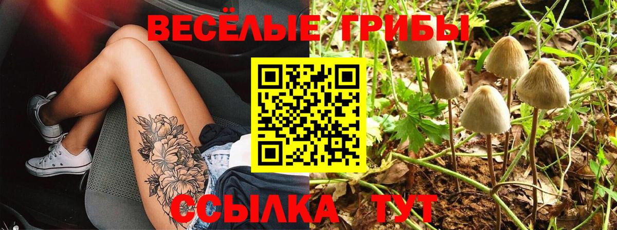 Рассказово  Псилоцибиновые грибы мухоморы  Вход с VPN 