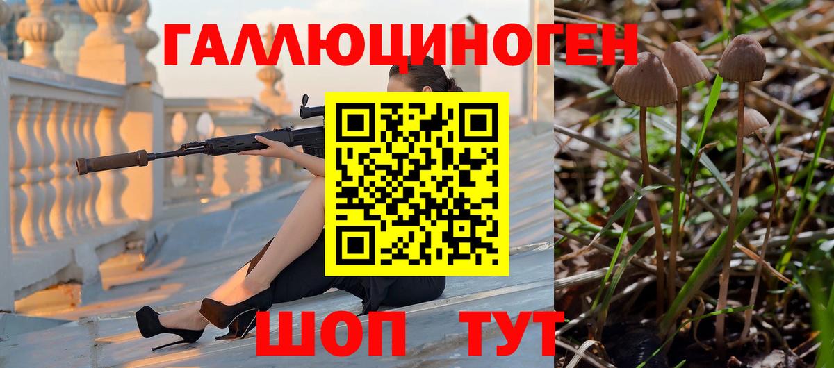 Галлюциногенные грибы MAGIC MUSHROOMS Рассказово
